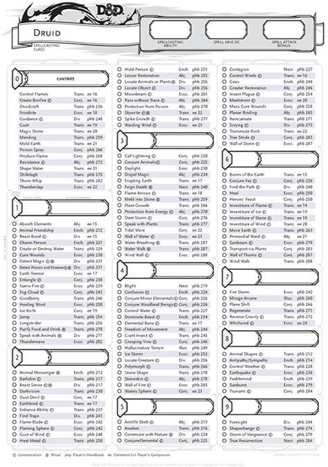 Druid Spells for Dungeons & Dragons (D&D) Fifth Edition (5e).